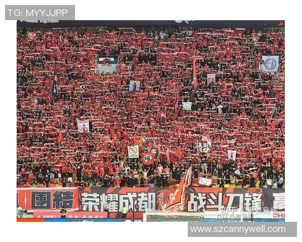 成都篮球队灵活性引发热议球迷与专家观点交锋探讨球队未来发展方向