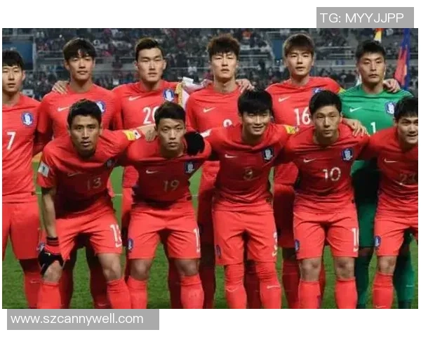 武汉足球队实力强劲荣登全国足球实力排行榜第八名